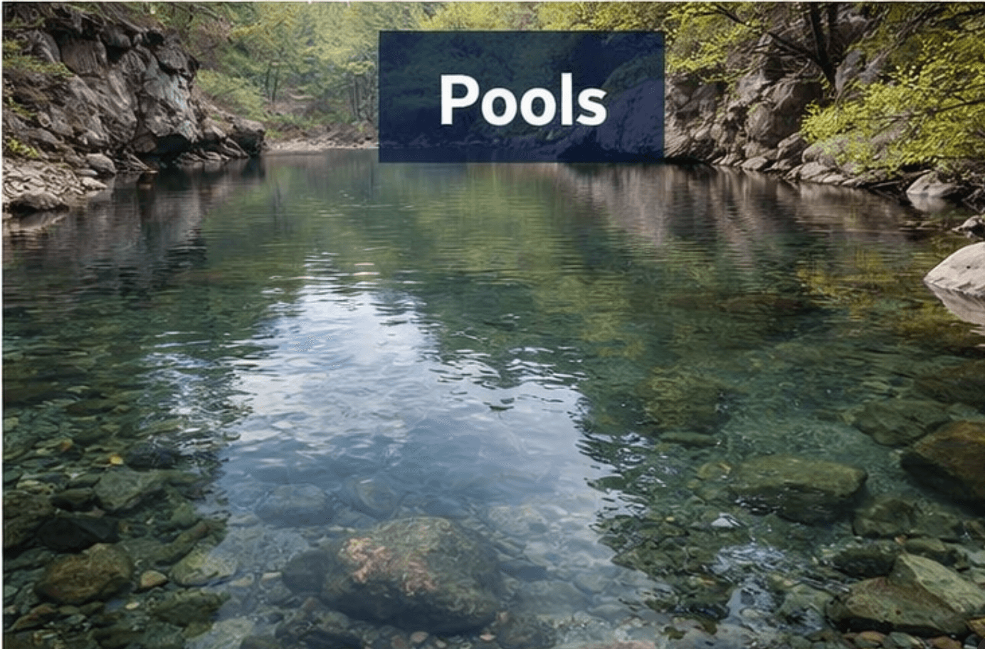 How to Read a River: Pools, Riffles, Runs & Pocket Water