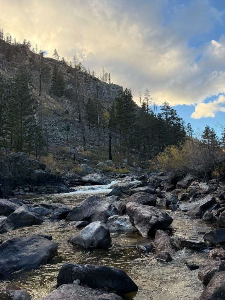 Fly Fishing Gear