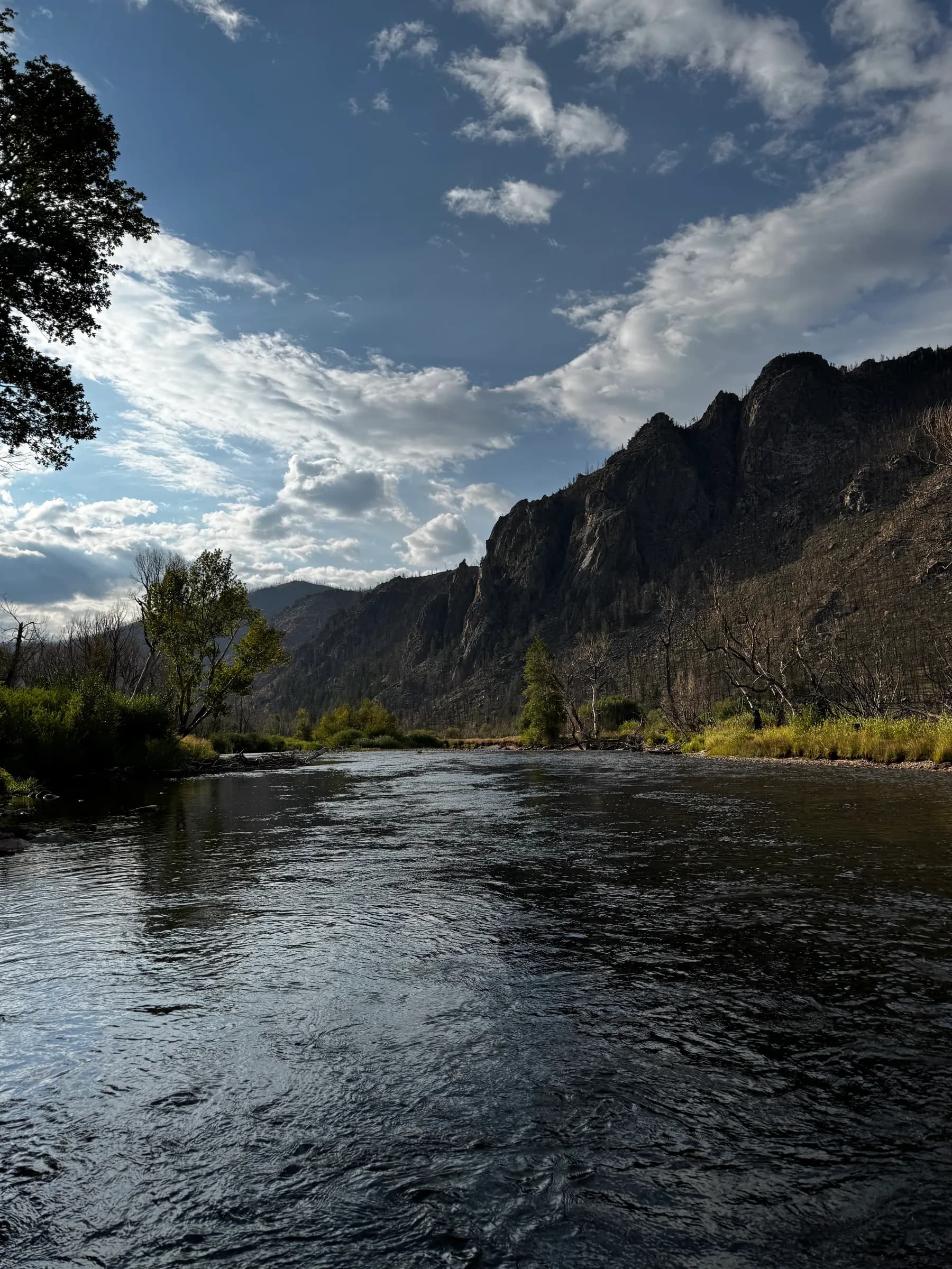 Cache la Poudre River